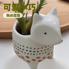 簡約可愛狐狸小眾圓點陶瓷花盆小巧居家送禮種植多肉擺設