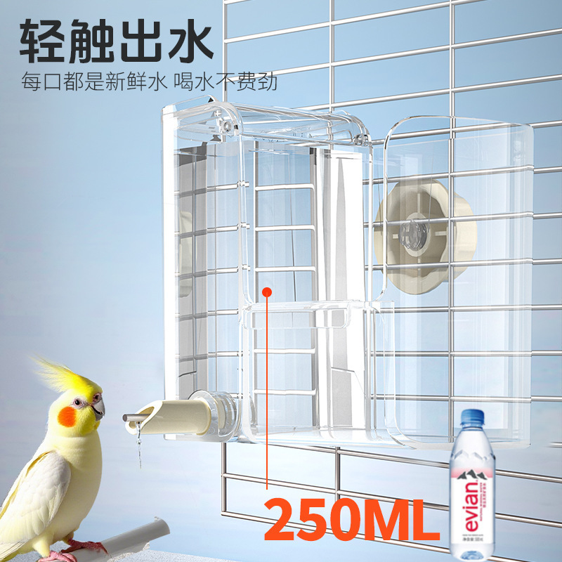 Automatic bird feeder, water feeder, parrot food box, bird food tank, bird cage accessories, bird utensils, water dispenser, small pet 3