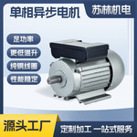 批发YL铁壳卧式双值电容单相电动机定做机械设备马达电机非标定制