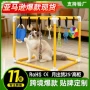 gym互动playgroundpuppy玩具