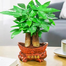 �lؔ������ֲ���҃ȿ͏d�GֲС�辰�ļ������k���Һ��BС���Ի���