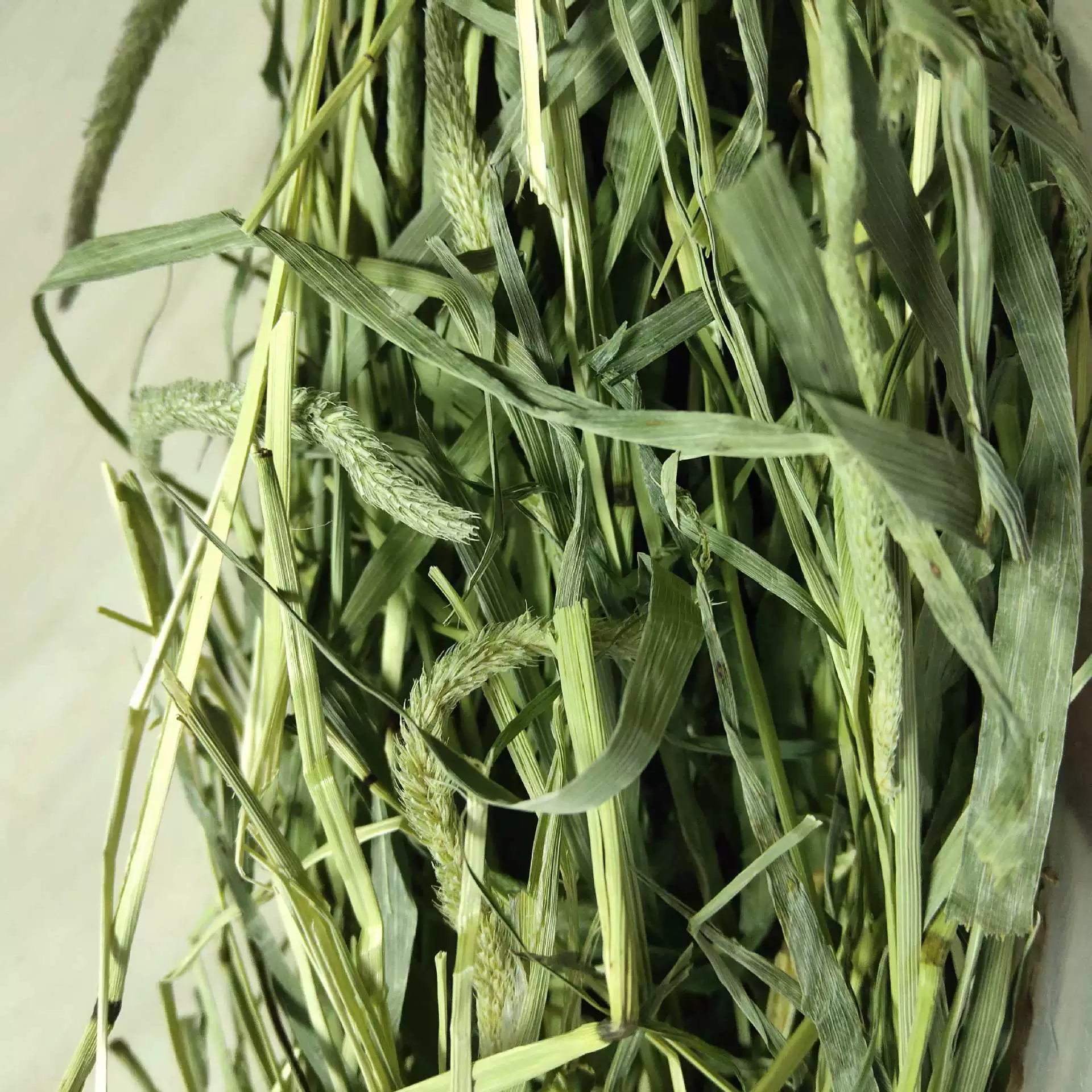 Сушеная тимофеевка Rabbit Rabbit Dry Grass оптовая поставка Timosi Grass Rabbit гранулы Dutch Pork высушивание Бесплатная доставка