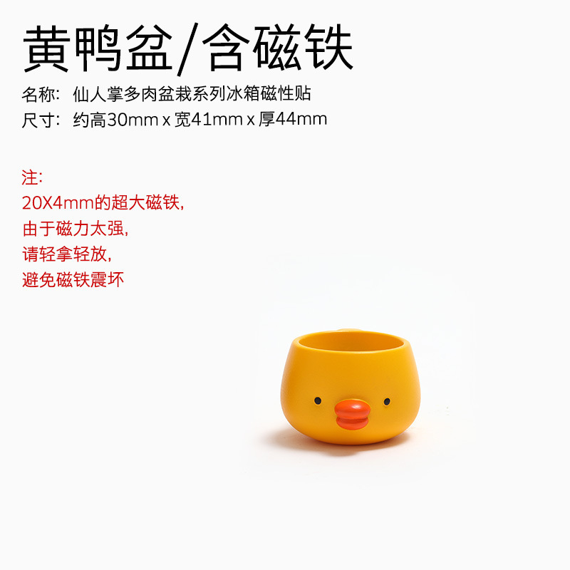 仙人掌盆栽屬性-04