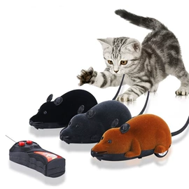 遥控车;遥控飞机;整人玩具