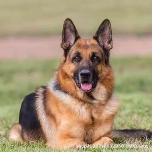 �pѪ�y������Ȯ��Ȯ��������Ȯ�Ѿ�Ȯ����Ȯ�ǹ�����Ȯ���ﹷ