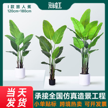 �羳I�����˽�����Gֲ120cm�҃��b������p�ݿ͏d��ؔ[�����l