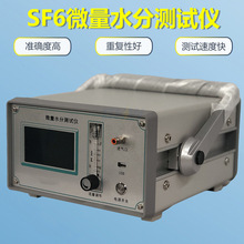 SF6智能微水测量仪 微水检测仪 六氟化硫气体微量水分分析仪