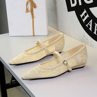 3683-21 European and American high-end lace mesh straight buckle with sexy pointed toe, shallow mouth, low heel professional single shoes for women