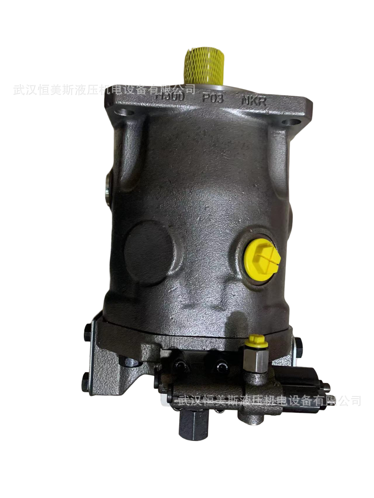 德国REXROTH力士乐柱塞泵A2FM23/63W-VZB016