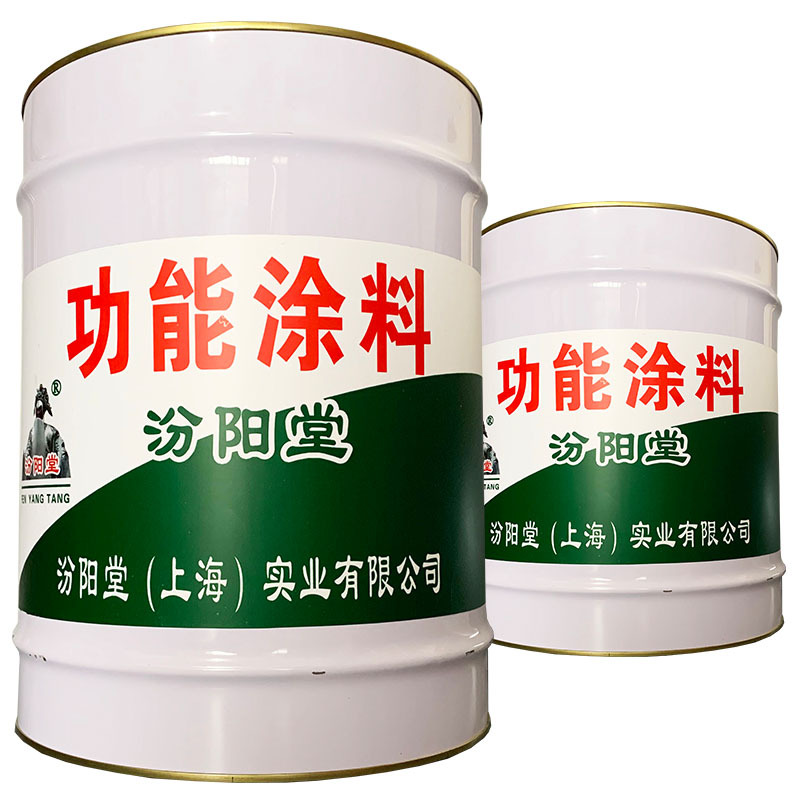 功能涂料、包运输、功能涂料、 耐化学腐蚀性
