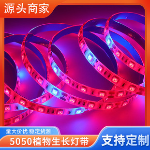 �͉�505012V60LEDֲ�����Lܛ��ֲ���o���������l3/4/5�t1�{��ˮ