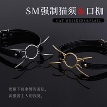 ����ڼϿ������sm�{��Ȥ����Ʒ���ٿڊA���������{������Ը�