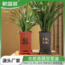 �m����ī�m�������ɰ��֬�Ӻ�͸������m���m�����m�ŵ�Gֲ��