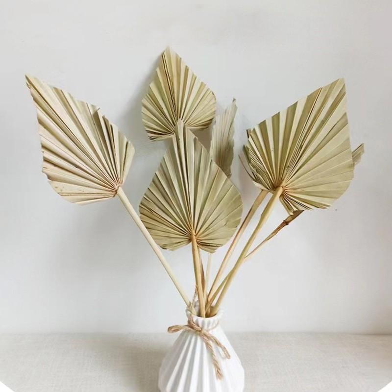 Guanyin fan