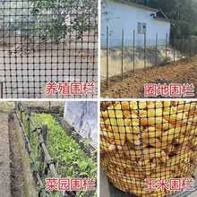 塑料网格防护网养殖网养鸡围栏网鸡鸭漏粪网菜园圈地隔离网玉米网
