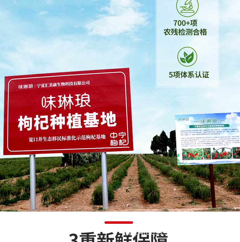 Goji Berry NFC Juice Concentrate Ningxia Fresh Wolfberry Drink 500ml specifications