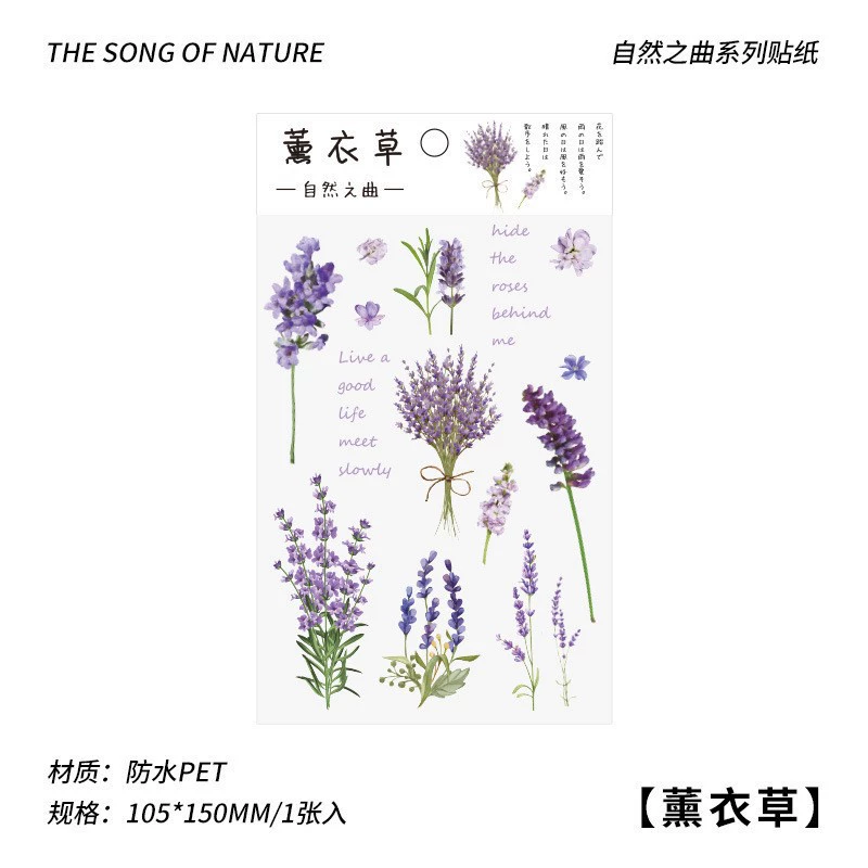 Transparent Waterproof Stickers, Floral & Botanical Designs, Small 3.33×1×0.33 cm, Assorted