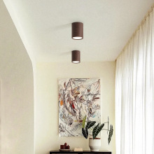 全光谱日式天花防眩无主灯走廊过道护眼客厅木纹色明装吸顶筒射灯