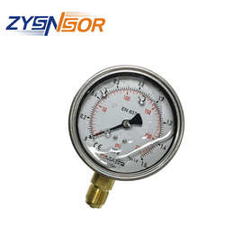 德国DMASS压力表油压表100MM表径 0-1.6MPA/PSI 径向 双刻度 半钢