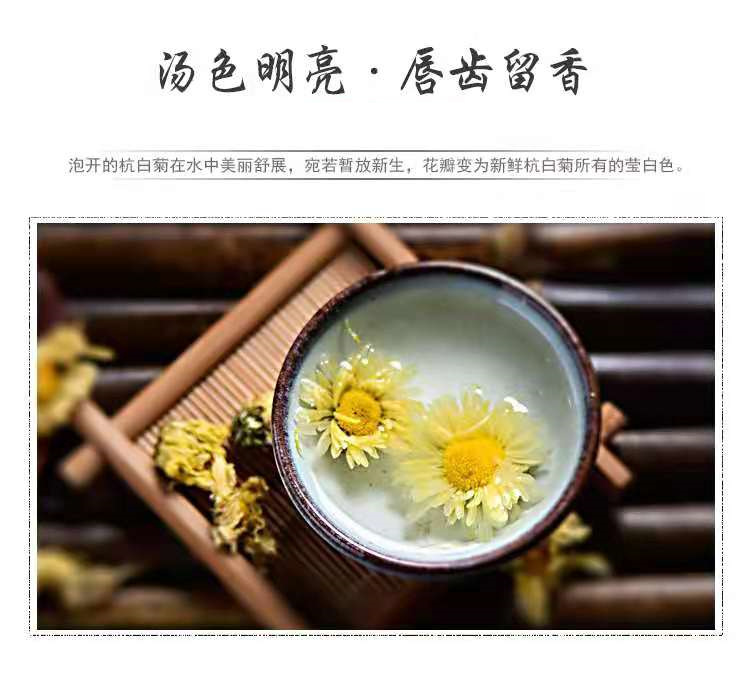 Hang Bai Ju (Chrysanthemum morifolium) — Tongxiang Fetal Chrysanthemum Flower Tea, Sulfur-Free preparation
