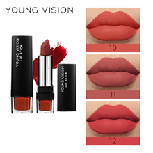 YOUNG VISION 哑而不干12色单支口红