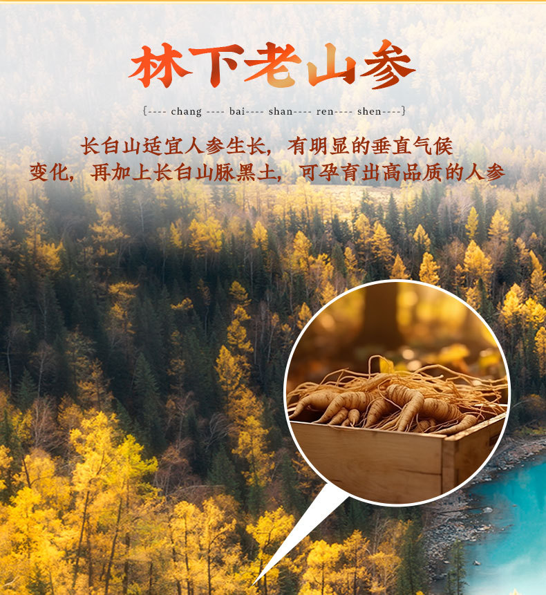 Changbai Mountain Sun-Dried Ginseng Ren Shen Whole Root Gift Box 75g 5 Roots overview