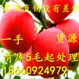 苹果价格 苹果产地 苹果种植基地 红富士苹果市场批发 红富士苹果