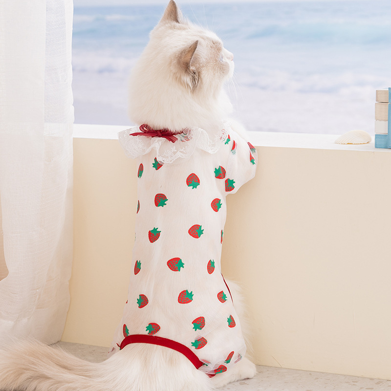 26 años de primavera y verano ropa de mascotas delgada malla transpirable ropa de cuatro patas ropa de perro ropa de gato ropa de perro pequeño y medio image 3