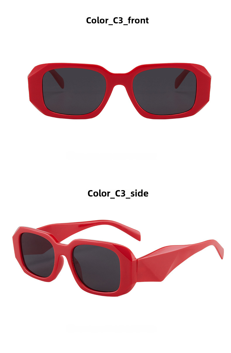Polygon Women's Sunglasses Small Frame Fashion Street Glasses_voghion.com