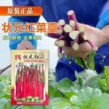 �t��̦�߲˷N�Ӳ���ʮ�¼t�ϲ�̦�t��̦��ͥ�Nֲ�ļ��̨ͥԺ�ײ�