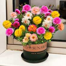 ذ̫ꖻ֧ɏ~ĵRX{GֲԻܶ޸