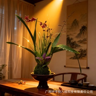 �~ǧ�~�pƴ���щ����m�҃����Ժ��B�׻��ļ����G�����՚�