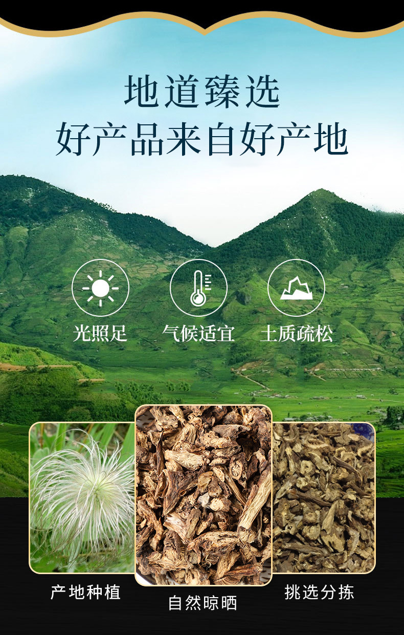 Bai Tou Weng Root (Pulsatilla chinensis) — Dried Chinese Herb, Powder Available overview