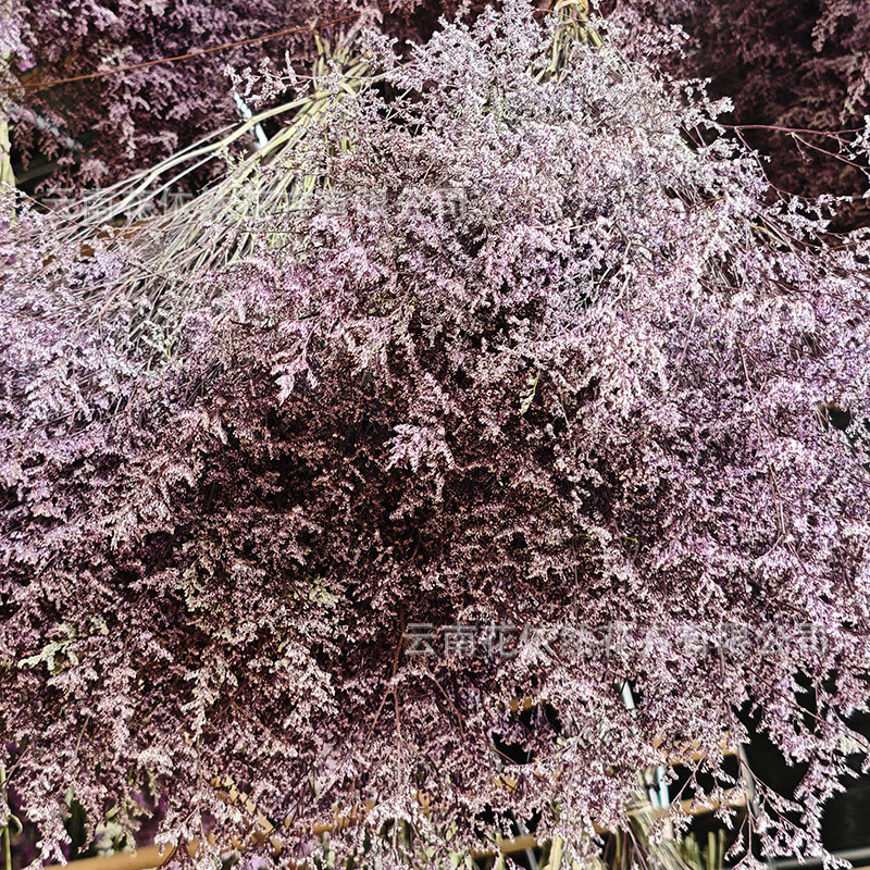 微信图片_20250404164840