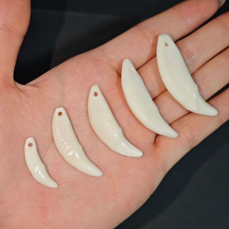 Wholesale Real Dog Tooth Pendants, Bleached Black Dog Tooth Xizang Mastiff Necklace Jewelry, Wolf Tooth Style Xizang Silver Pendant
