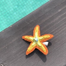 2025���¿�ȼ��L���ճ�Ƭ�W�t�l�A����A�r���ļ���Ƥ���ǰl�A