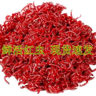 �r��t�x�ش�̖���x���w���Dι�~�D���D�a�~Ұ��D����~����~�D