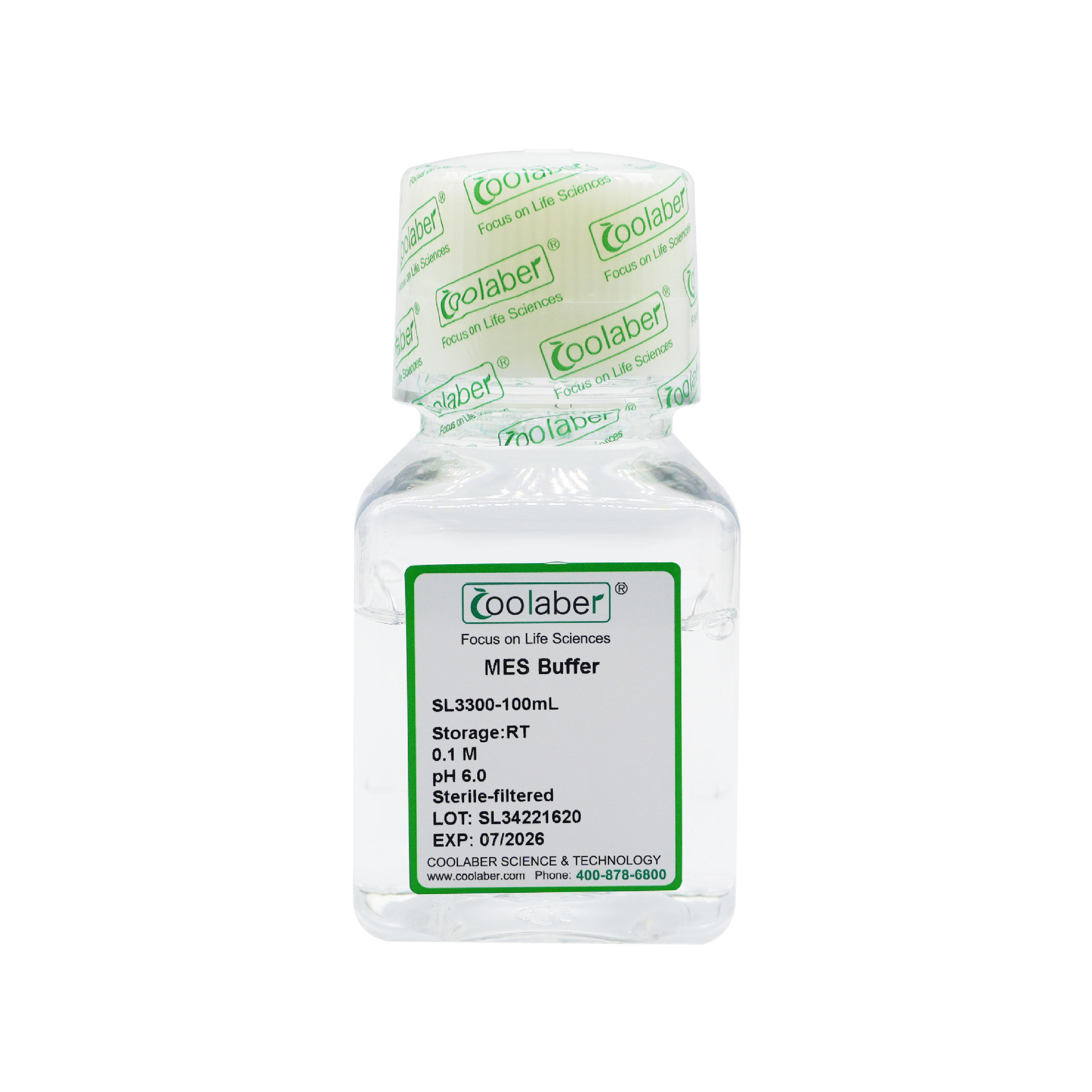 0.1M MES缓冲液（pH6.0，除菌）