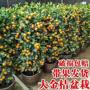 �ļ����Ә���^����Ә䎧����ʳ���辰�ļ����҃��ļ��_���Y��