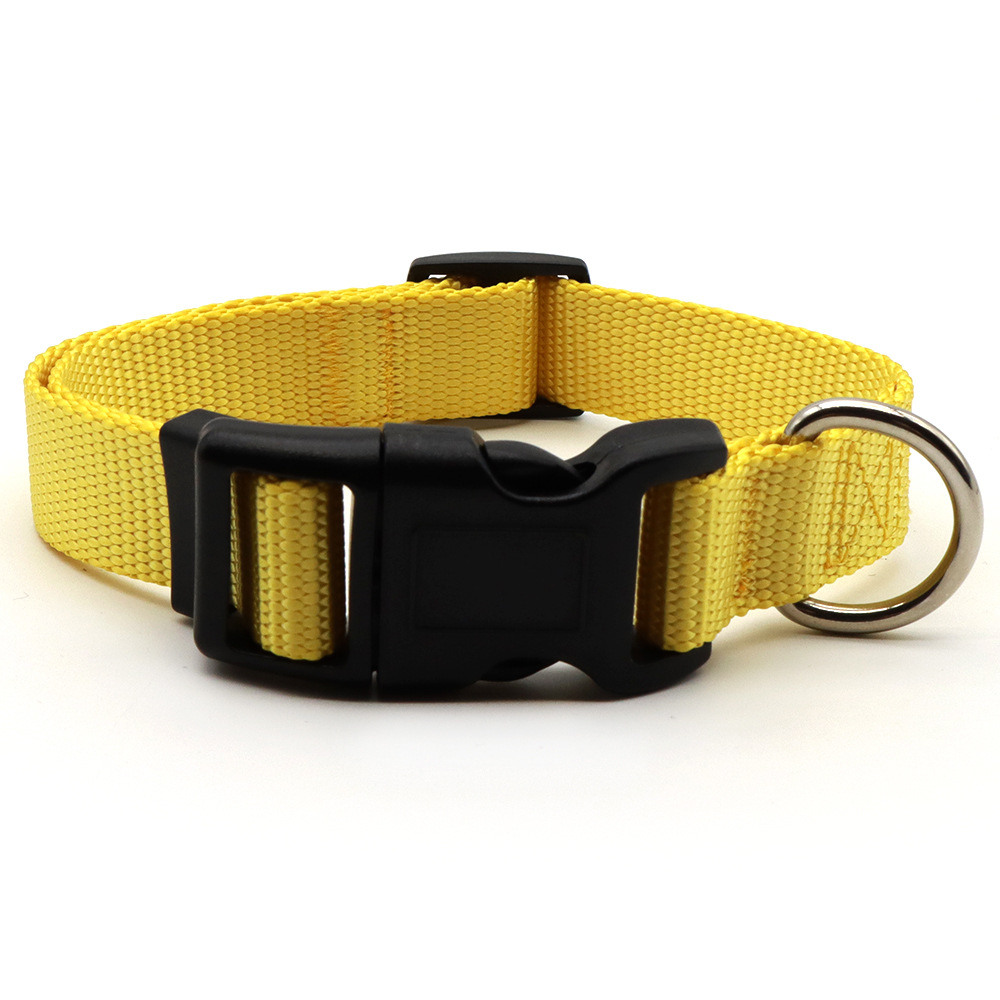 Suministros para mascotas collar perro correa de entrenamiento para perros suministros macaron color Doble D Hebilla correa de perro ajustable