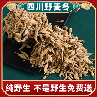 ���x �������Ĵ��S���h�����w�t�������S���h�w���Ĵ��dl