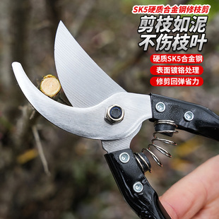fruit branch garden pruning shears fruit tree scissors gardening scissors garden tools iron handle fruit branch shears branch shears