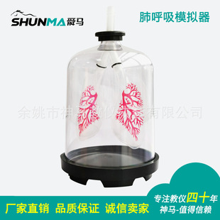 �κ���ģ�M���S��ֱ�N���w�����\��ģ�M�������⺆���b��