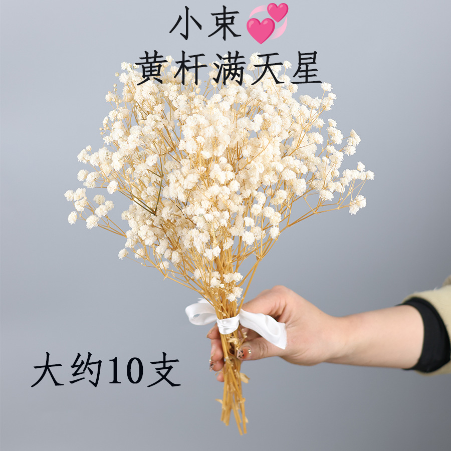 노란 줄기와 흰색 아기 호흡이 있는 10개의 가지