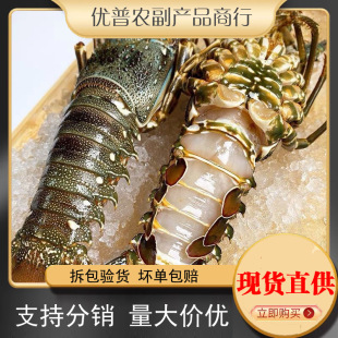 �������r������Ұ��С�������r���������r�����rԽ��ˮ�a�������l