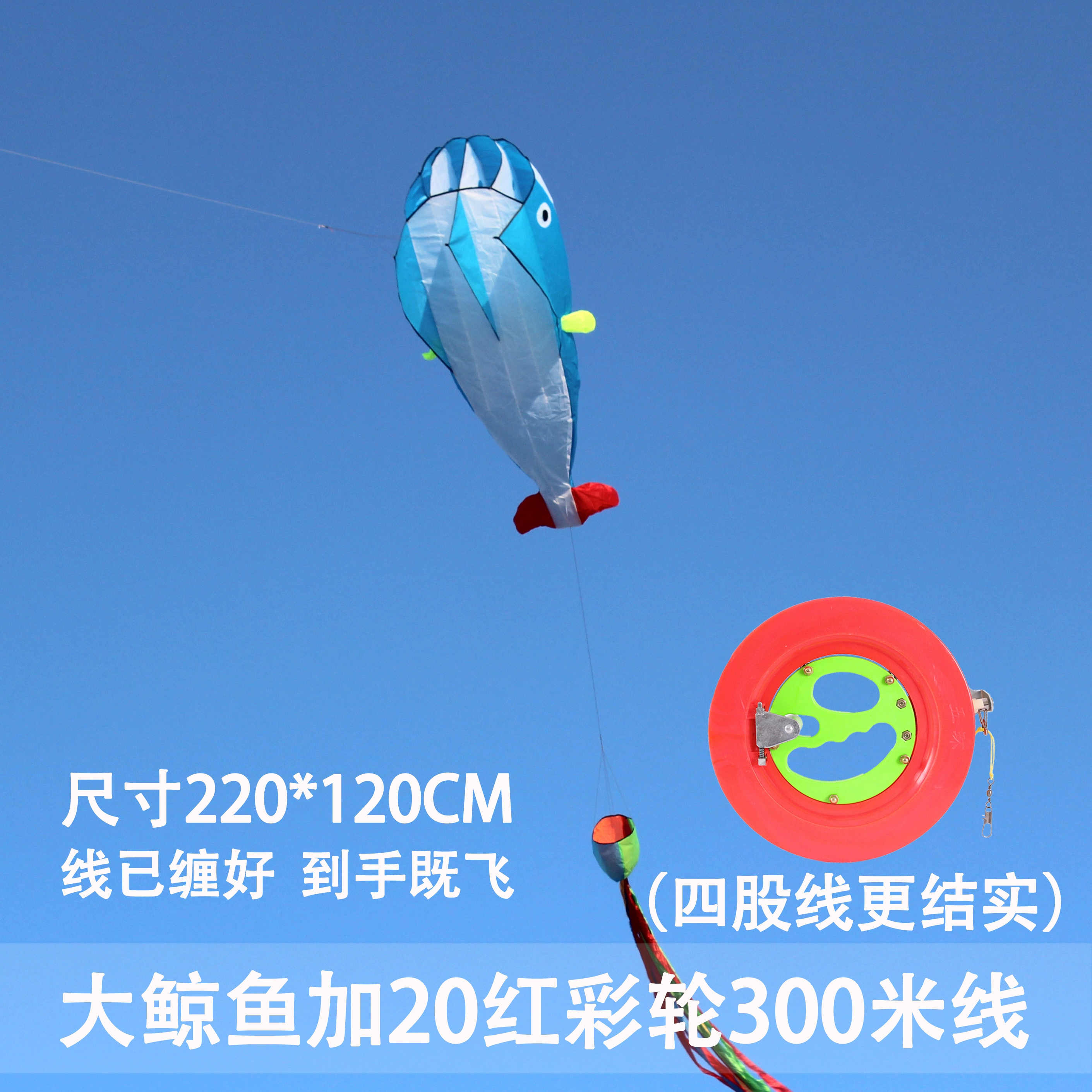 Kite for adults
