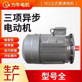 机械用电动机;电动机配件