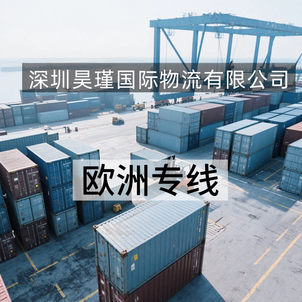 欧洲专线、中东专线、南美专线、香港专线，多条优势专线，双清包