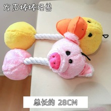 PetcirclePETCIRCLE������߹���ĥ�����������̩�ϱ��ܰl���
