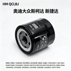 Compatible with Volkswagen, Audi, and Skoda car oil filters, cross-border shipping, factory wholesale, and direct delivery